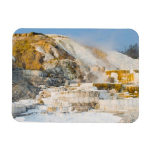 Yellowstone Nationalpark Magnet