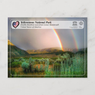 Yellowstone Nationalpark - Mammoth Hot Springs Postkarte