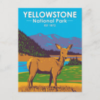 Yellowstone Nationalpark Mule Dee Vintag