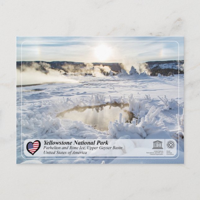Yellowstone Nationalpark - Obergeyser-Becken Postkarte (Vorderseite)