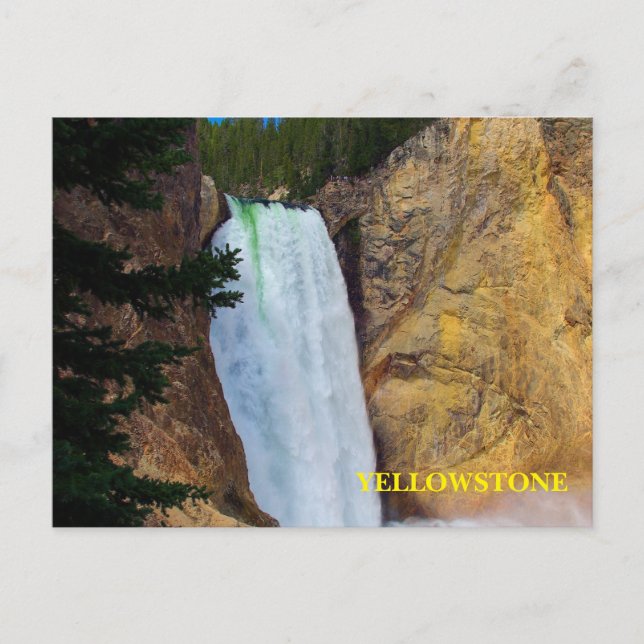 Yellowstone Nationalpark Postcard Postkarte (Vorderseite)