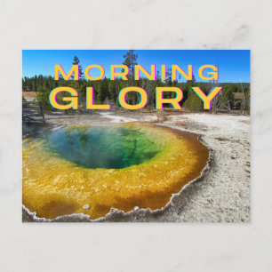 Yellowstone Nationalpark Postcard Postkarte