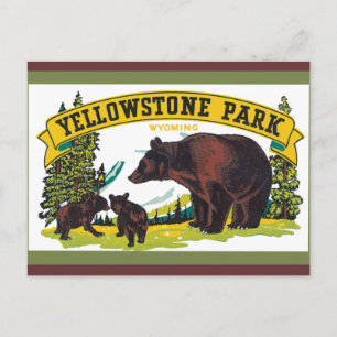 Yellowstone Nationalpark Postcard Postkarte