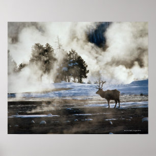 Yellowstone-Nationalpark Poster