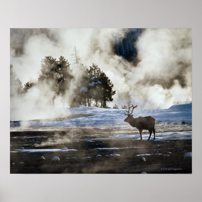 Yellowstone-Nationalpark Poster (Vorne)