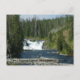 Yellowstone-Nationalpark Postkarte