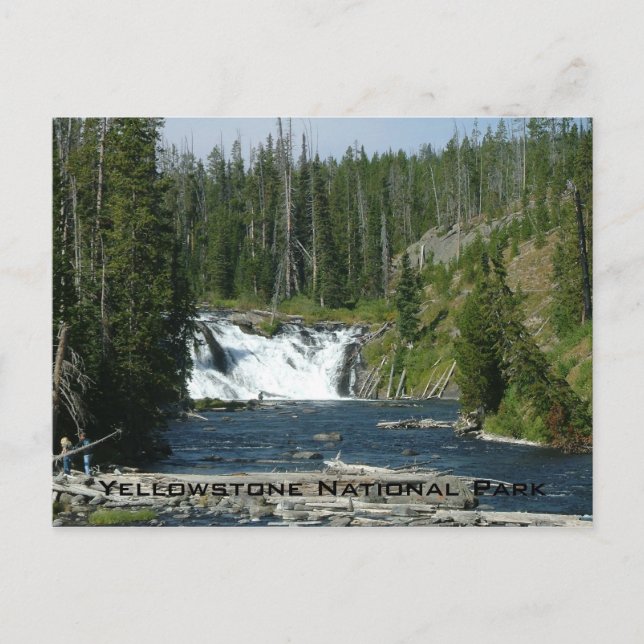 Yellowstone-Nationalpark Postkarte (Vorderseite)