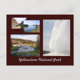 Yellowstone-Nationalpark Postkarte