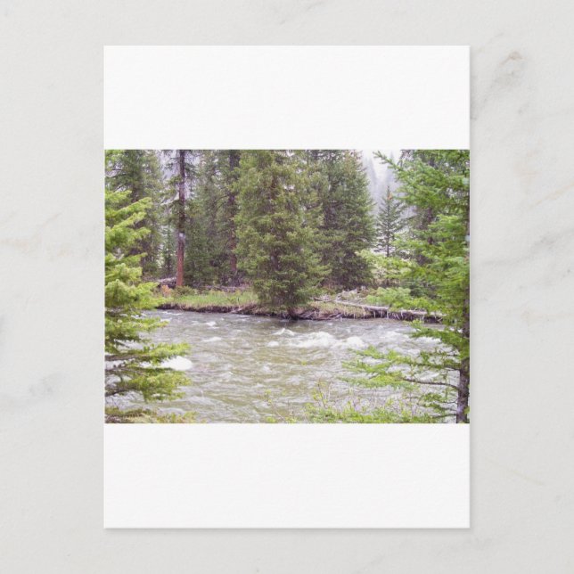 Yellowstone-Nationalpark Postkarte (Vorderseite)