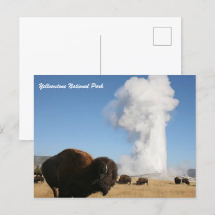 Yellowstone-Nationalpark Postkarte