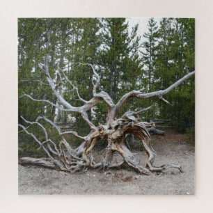 Yellowstone Nationalpark Puzzle