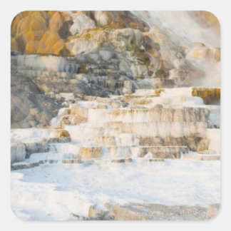 Yellowstone-Nationalpark Quadratischer Aufkleber
