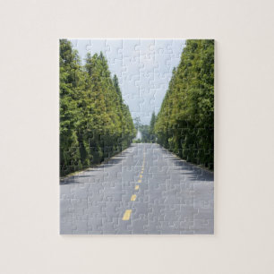 Yellowstone Nationalpark USA, Treelined Straße Puzzle