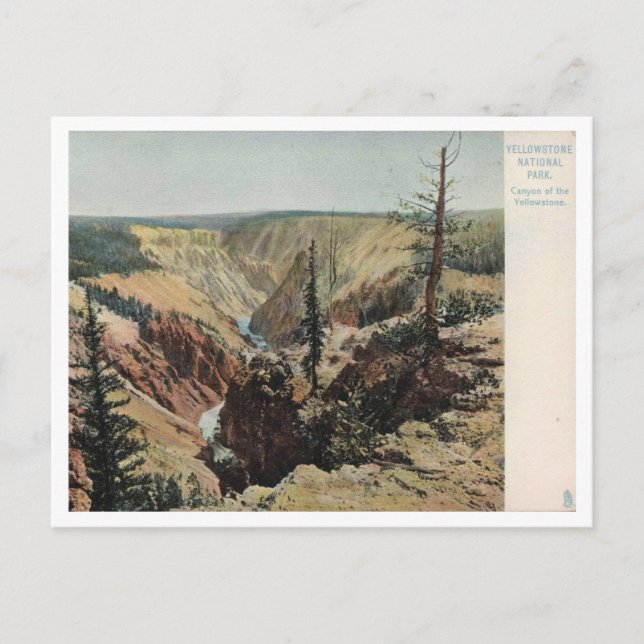 Yellowstone-Nationalpark, Vintag Postkarte (Vorderseite)