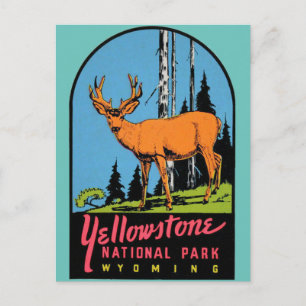 Yellowstone Nationalpark Vintage Postkarte