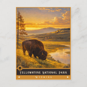 Yellowstone Nationalpark   Vintage Postkarte