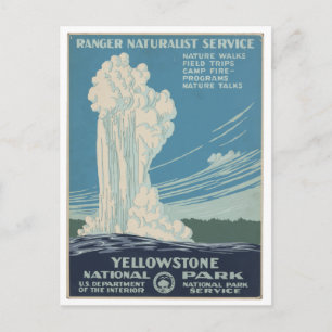 Yellowstone-Nationalpark Vintage-Postkarte Postkarte