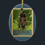 Yellowstone Nationalpark Vintager Bär Keramik Ornament<br><div class="desc">Vintage Reise-Ornament Yellowstone Nationalpark Bild mit einem schwarzen Bär stehend auf seinen Hinterbeinen,  Blick in den grünen Wald.</div>