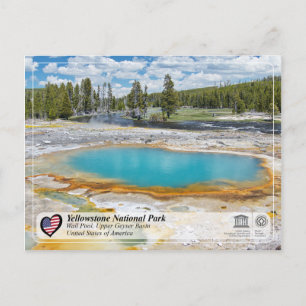 Yellowstone Nationalpark - Wall Pool Postkarte