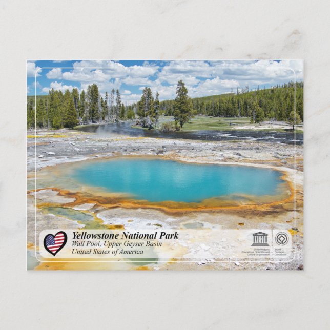 Yellowstone Nationalpark - Wall Pool Postkarte (Vorderseite)