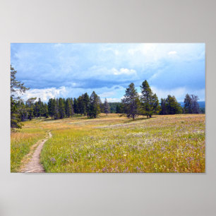 Yellowstone Nationalpark Wiesenwanderweg Poster