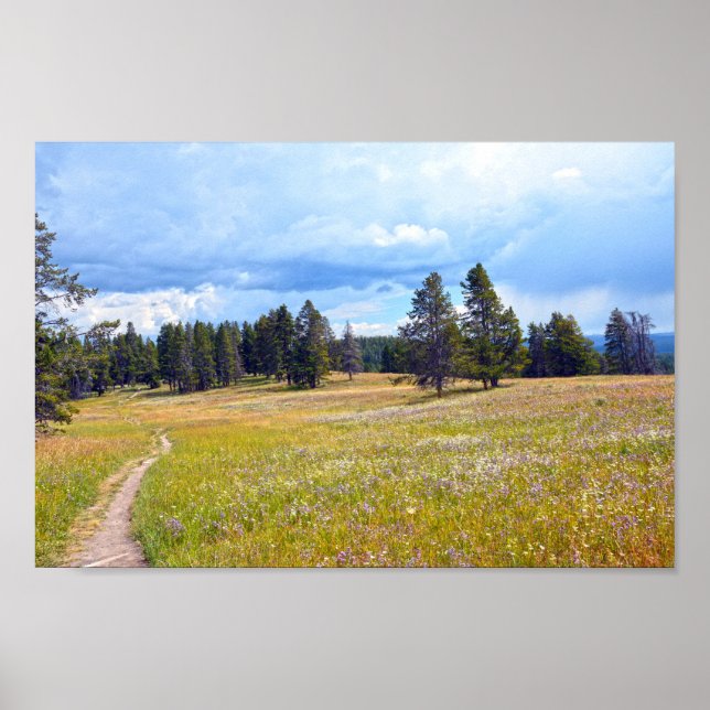 Yellowstone Nationalpark Wiesenwanderweg Poster (Vorne)