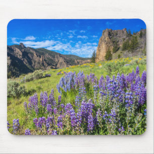 Yellowstone Nationalpark Wildblumen Landschaft Mousepad