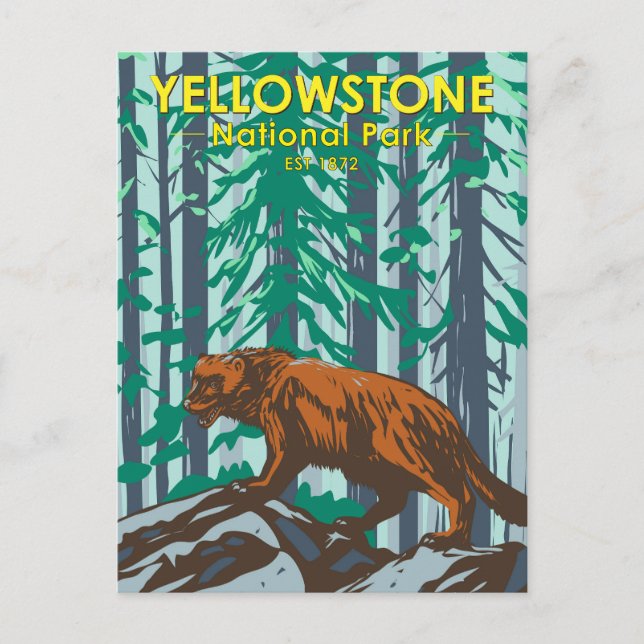 Yellowstone Nationalpark Wolverine Vintag Postkarte (Vorderseite)