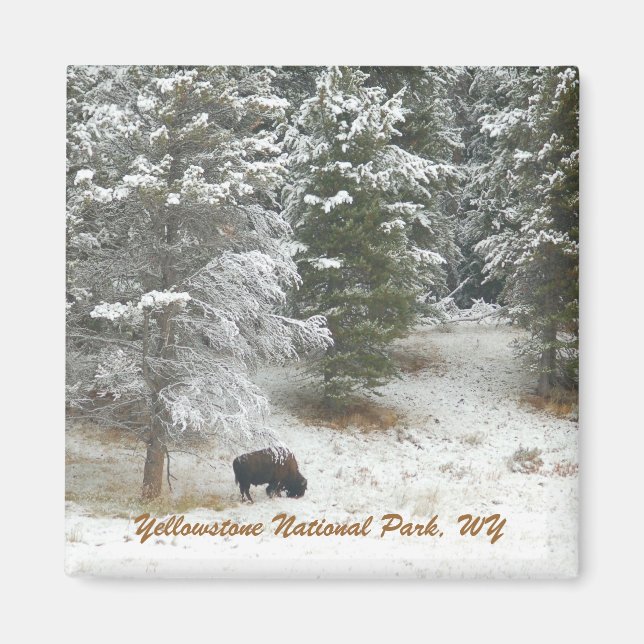Yellowstone Nationalpark, WY Magnet (Vorne)
