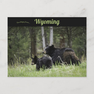 Yellowstone Nationalpark Wyoming Postkarte