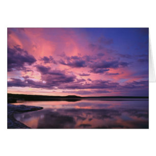 Yellowstone Nationalpark, Wyoming. USA.