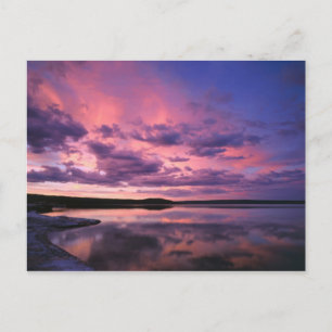 Yellowstone Nationalpark, Wyoming. USA. Postkarte