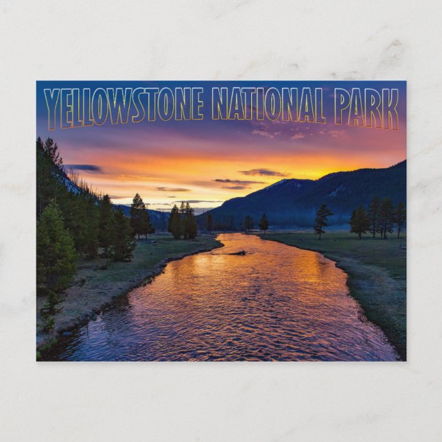 Yellowstone Nationalpark Wyomom bei Sunset Stream Postkarte (Vorderseite)