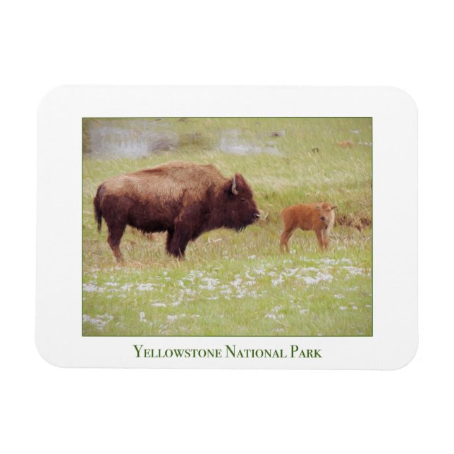 Yellowstone Nationalparkmagnet mit Bison & Kalb Magnet (Horizontal)