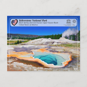 Yellowstone NP - Herzenfrühling und Löwengeyser Postkarte