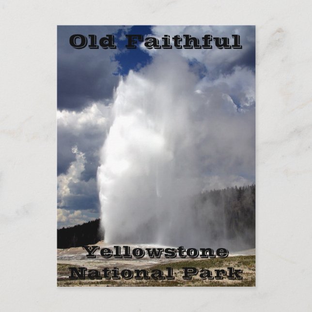 Yellowstone Old Faithful Postcard Postkarte (Vorderseite)