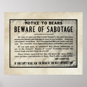 Yellowstone Park Notice Humour Bear 1959 Poster