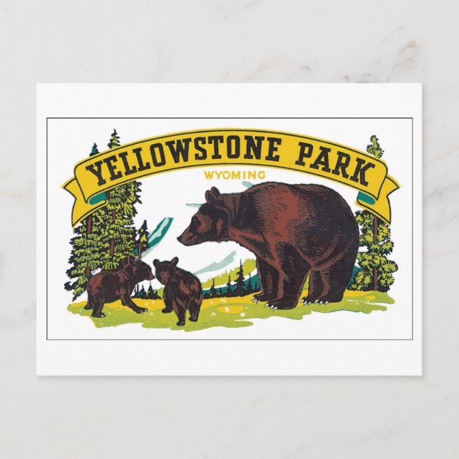 Yellowstone Park, Wyoming Postkarte (Vorderseite)