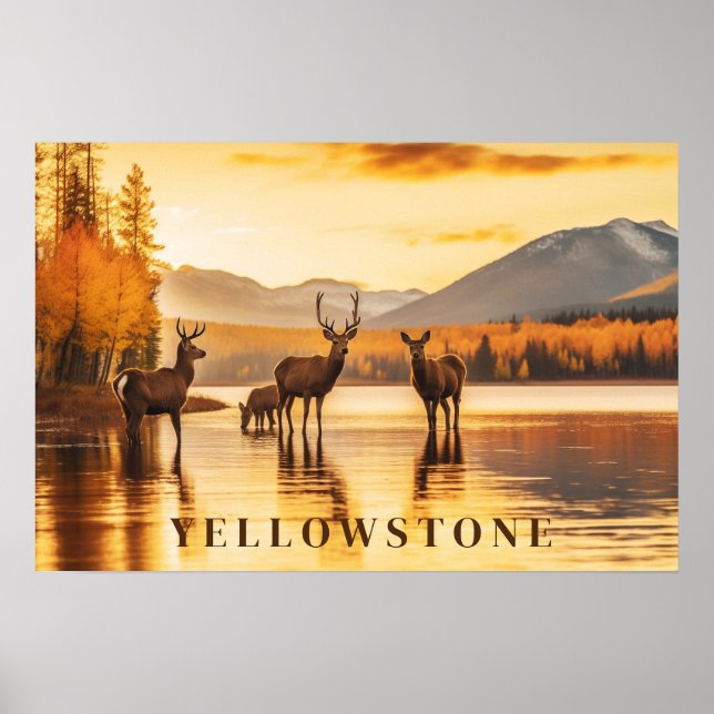 Yellowstone Poster Art (Vorne)