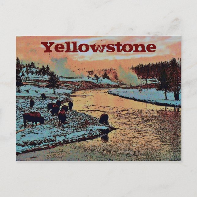 Yellowstone Postkarte (Vorderseite)