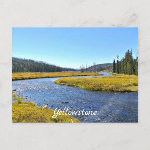 Yellowstone-Postkarte Postkarte
