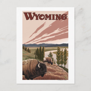 Yellowstone River Bison Vintage Travel Poster Postkarte