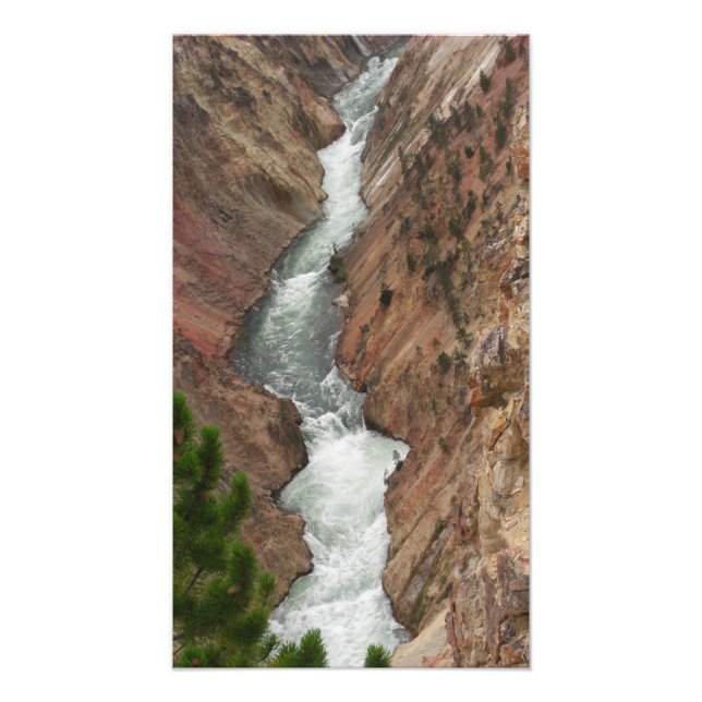 Yellowstone River Foto Print (Vorne)