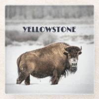 Yellowstone Snowy Buffalo Souvenir Glass Untersetz