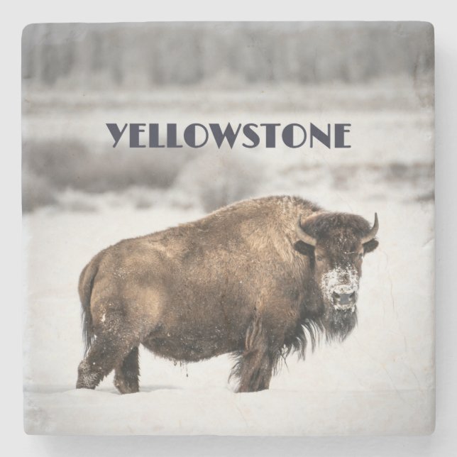 Yellowstone Snowy Buffalo Souvenir Untersetzer (Vorderseite)