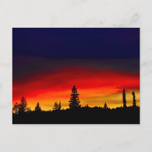 Yellowstone Sunset Postkarte