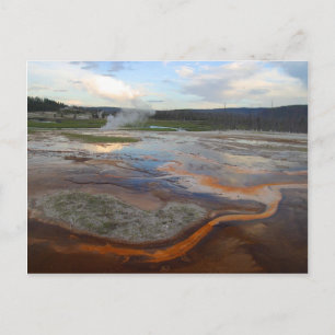 Yellowstone-Thermalbecken Postkarte