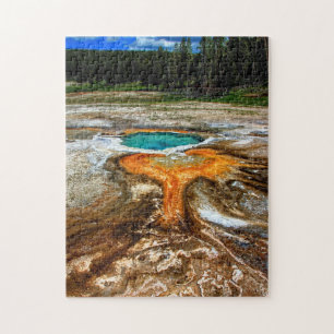 Yellowstone-Thermalpool Puzzle