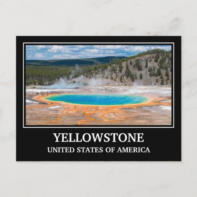 Yellowstone USA Postcard Postkarte (Vorderseite)