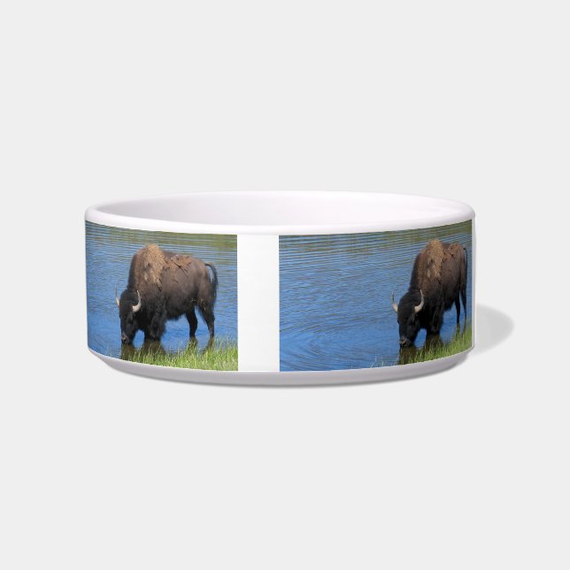 Yellowstone Wild Buffalo im Teich Napf (Rechts)